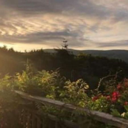 Stunning Views Of Ynyshir & Southern Snowdonia Machynlleth Εξωτερικό φωτογραφία