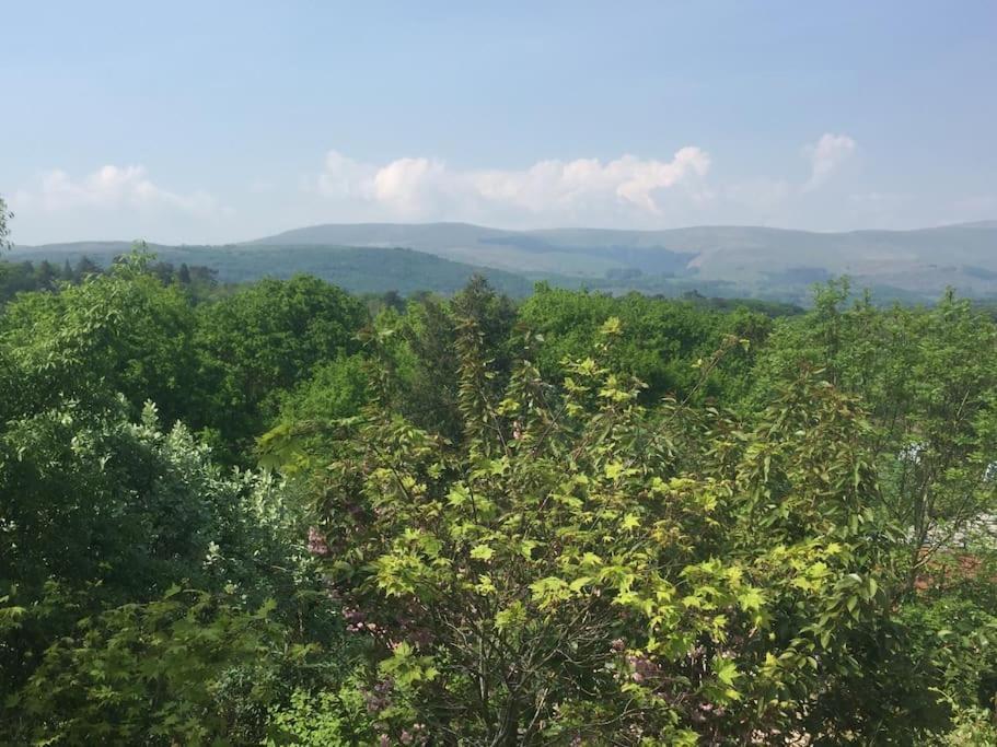 Stunning Views Of Ynyshir & Southern Snowdonia Machynlleth Εξωτερικό φωτογραφία